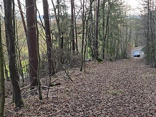 Outdoor Sex in the Woods with My Gay Slut - He Sucked Me Before Taking My Dick Bareback