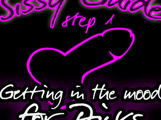 AUDIO ONLY - Sissy guide step 1 getting in the mood for dicks