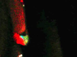 Please Keep It Secret