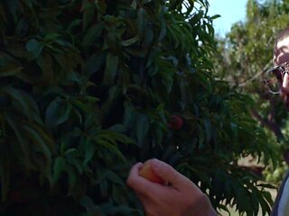 CIRIS Part 2 - Starring: Brandi Love - PornFidelity