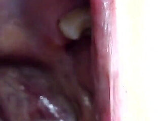 Inside My Big Mouth Tongue Teeth Uvula