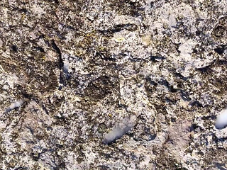 Piss on My Cum on Stone Outdoor