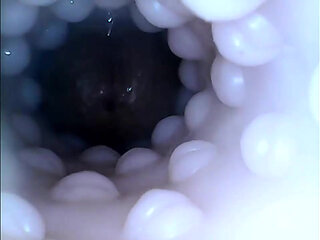 Internal closeup fucktoy