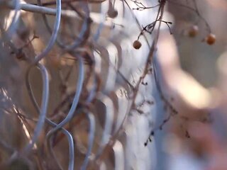 0005505_JAV_JapaneseAV_Censored_MGS_19min