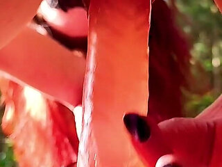Forest Intimacy
