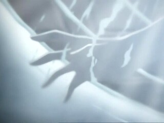 Wild Desire of the Vision_100125p0001