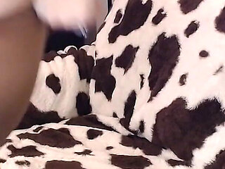 Cleaned All My Pantyhose Try on