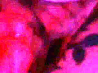 Face Fkng
