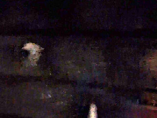 Nude Mallu Indian Guy In Public Walking Outdoor at Night