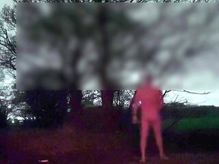 Wanking naked outside of car , driver slowed down