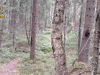 Naked Hike in Finnish Forrest