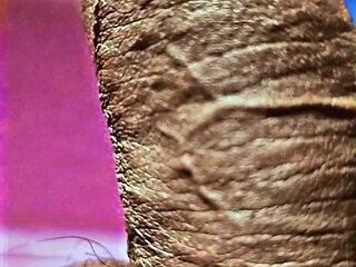 viral 19 minute 34 second video sex chudai Big dick  part2