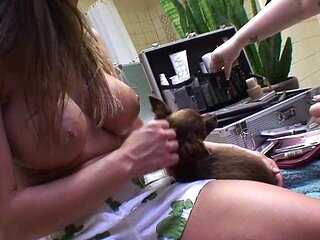 Busty and handsome brunette amateur babe