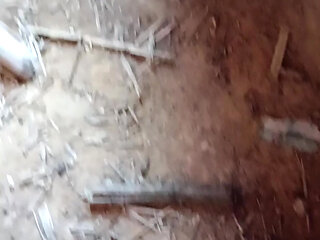 Violet myers and jax salyar sex seen masturbation