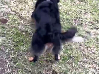 After merging him, he paid me in kind