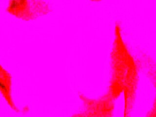 Amateur blondes pov blowjob and hardcore fun with lucky dude