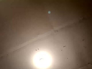 Stream Started at 02182024 08:43 Am I Hope You Catch This One