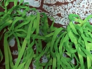 A gay sissy playing with his sissy clit