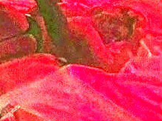 Hardcore amateur interracial fucking