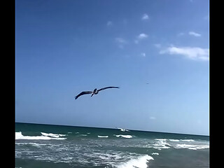 MAXXX LOADZ AT THE BEACH ENJOYING NATURE