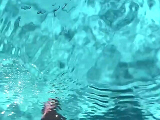 Dangerous Creature in the Water