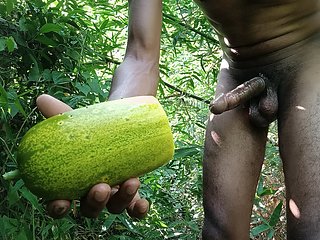 Cucumber Fuck Outdoor in Forest
