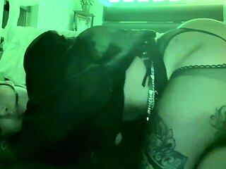 Amateur brunette ariana marie solo toying