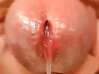 Slow motion cum is coming on penis