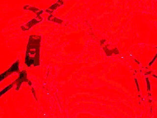 Red Room with My Lover While My Husband Is at Work