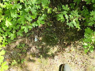 Outdoor Piss