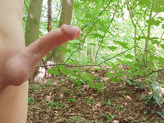 I love the forest