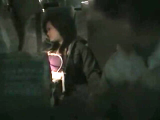 The Woman Dragged Into Car Sex