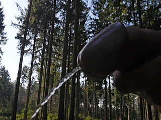 Pissing everywhere, in the forest, on the sofa, in the sink