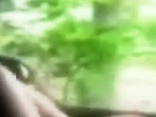 Horny Fucked in the Car