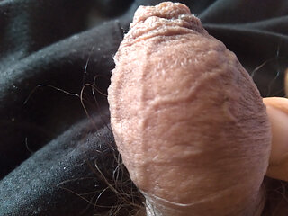 My monster cock wants a great blowjob