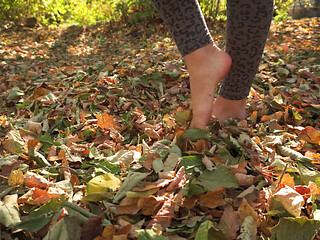 Leaves Crunching Underfoot Asmr