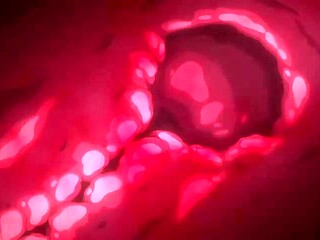 Unseen Dream without words_20013105p0