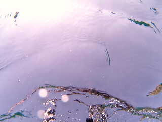 Snorkeling Vlog Real Couple Outdoor