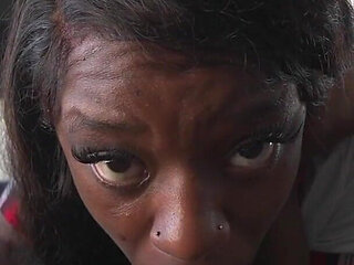 We love majesty part 1