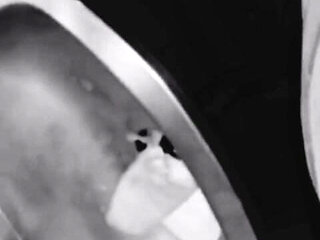 I Took My Fellow Traveler Bhabhi, Whom I Met During My Journey, to the Train Bathroom and Then to the Hotel and Made Her Eat It.