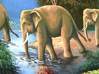 Lovely teen fucked and sprayed with load by black dude