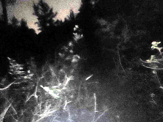 masturbating while oiled up in the rain on a nude beach at night