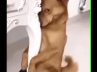 Xxx
