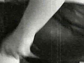 Trailer 338
