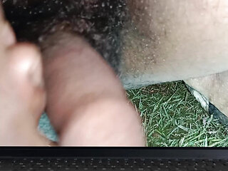 Handal Mara Video