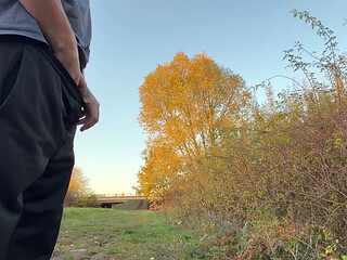 Jerking off next to the highway