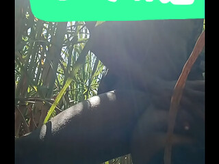 MY WIFE DESTROYED IN THE JUNGLE PART 5