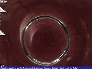 Fat Glass Dildo Inside View
