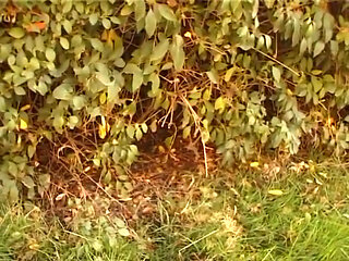 pick up, Doreen 18 convinced for a casting