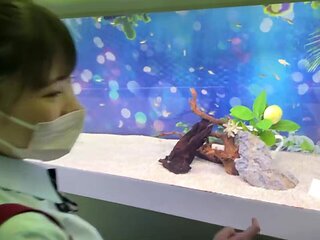 0005627_JAV_JapaneseAV_Censored_MGS_19min